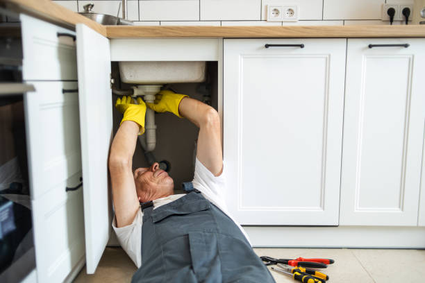  Round Lake Beach, IL Plumbing Pros